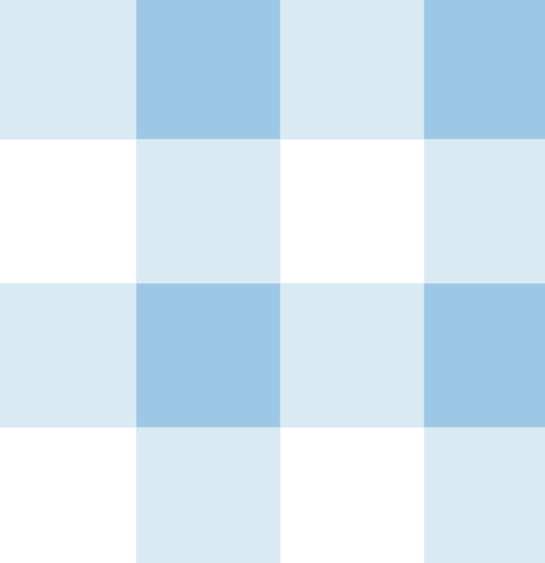 Buttoned Blue Gingham